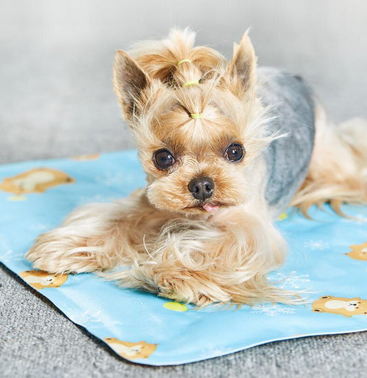 Pet Ice Cooling Mat