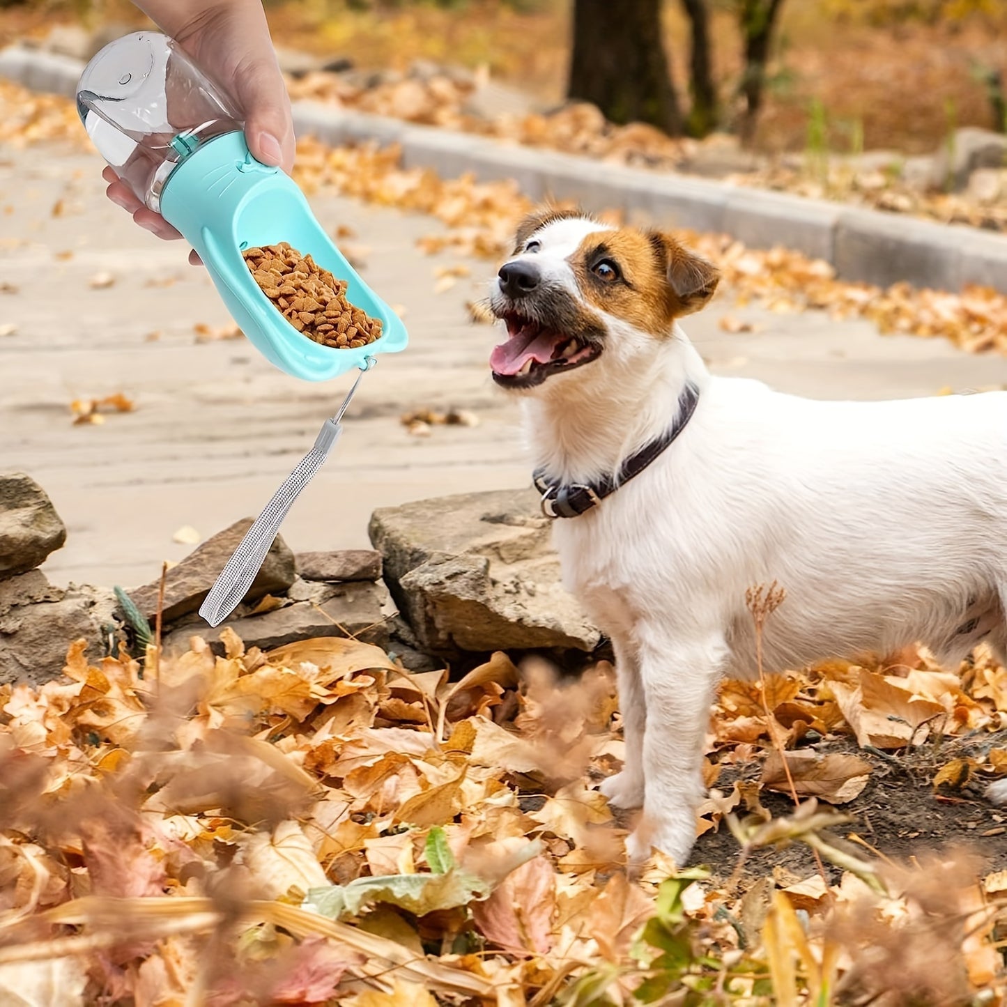 2-In-1 Pet Water Bottle