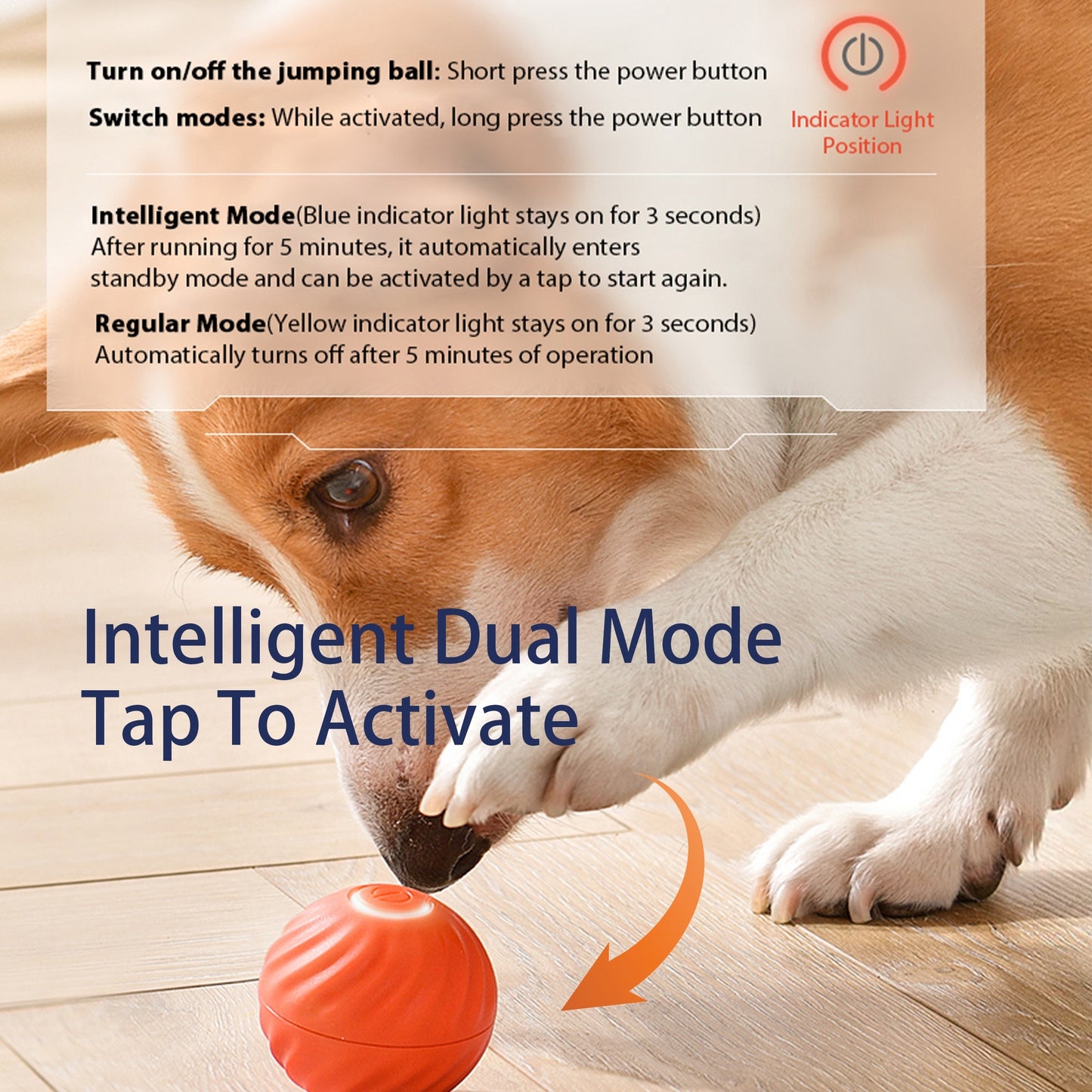 Smart Interactive Pet Ball