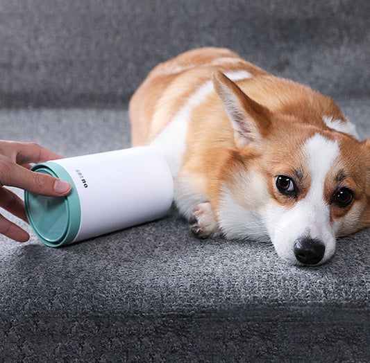 Silicone Pet Paw Cleaner