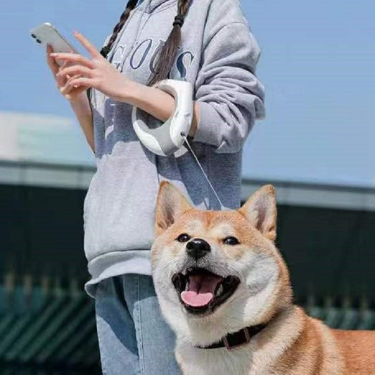 Retractable Dog Leash with LED Light